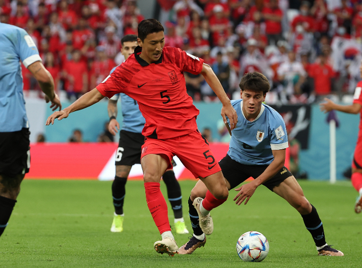지난 24일 오후(현지시간) 카타르 알라이얀의 에듀케이션 시티 스타디움에서 열린 2022 카타르 월드컵 조별리그 H조 1차전 대한민국과 우루과이 경기에서 정우영이 공을 따내고 있다. 연합뉴스