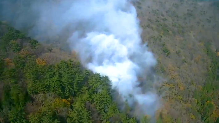 28일 오후 12시 40분쯤 부산 서구 엄광산 일대에서 산불이 발생했다. 산림청 제공