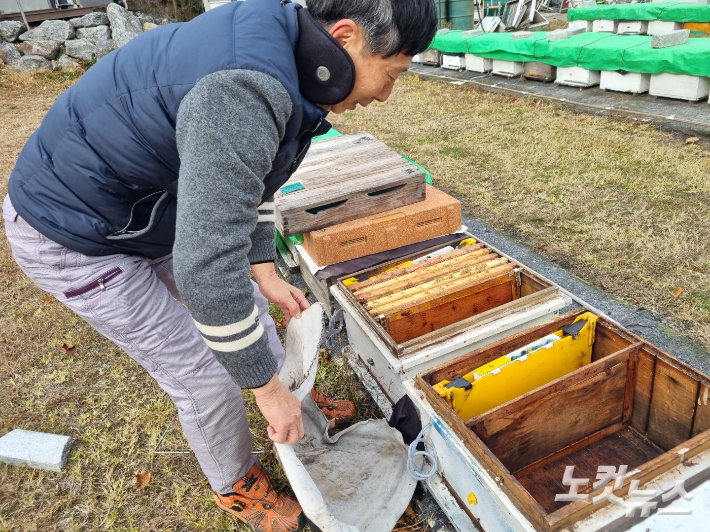 순천시 서면 양봉농가를 운영하는 박종현씨가 빈 꿀벌 통의 덮개를 덮고 있다. 박사라 기자 
