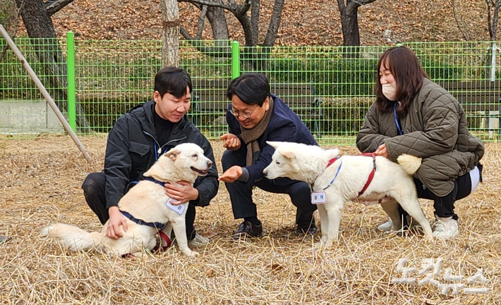 강기정 광주광역시장이 12일 오전 북구 우치동물원을 방문해 문재인 전 대통령이 기르다 정부에 반환한 풍산개 '곰이와 송강'을 동물원 임시놀이터에서 맞이하고 있다. 김한영 기자