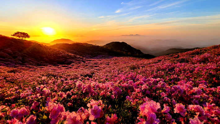 황매산 군립공원. 경남도청 제공