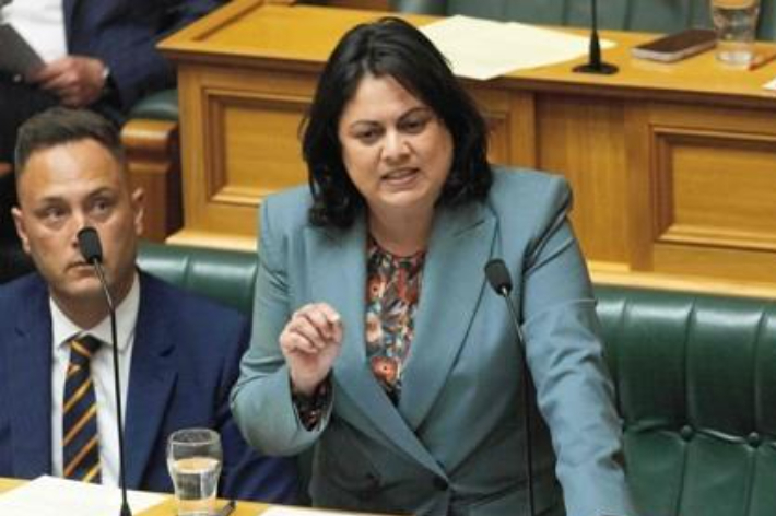 13일(현지시간) 뉴질랜드 의회에서 새 법률에 대해 설명하는 아이샤 베럴 장관의 모습. 연합뉴스