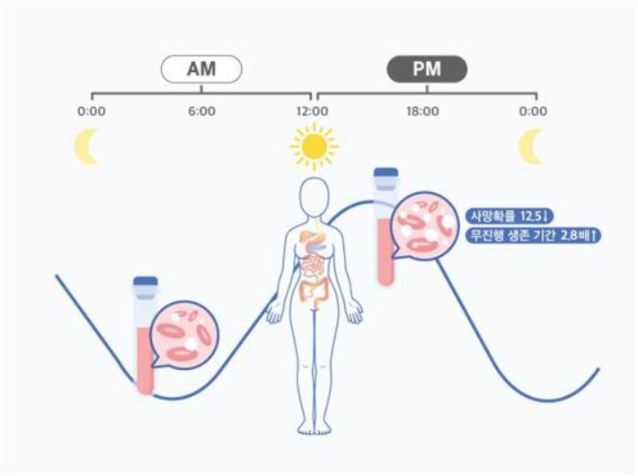 일주기 리듬을 고려한 시간항암요법. 기초과학연구원 제공