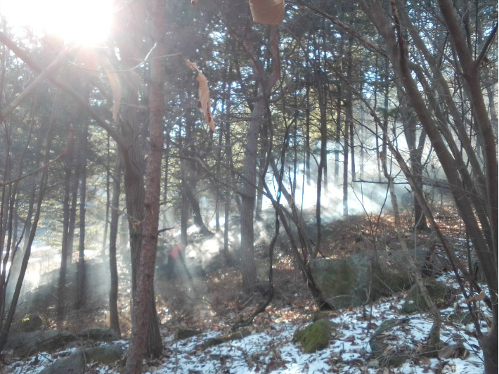 산림청 제공