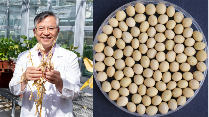 정종일 경상국립대 교수와 백세콩. 경상국립대학교 제공