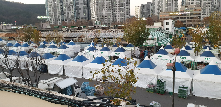 대구 북구 매천동 농수산물 도매시장 모습. 대구시 제공