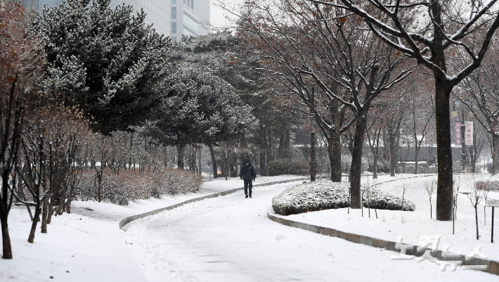 서울을 비롯한 수도권 대부분 지역에 대설주의보가 발효됐다. 황진환 기자