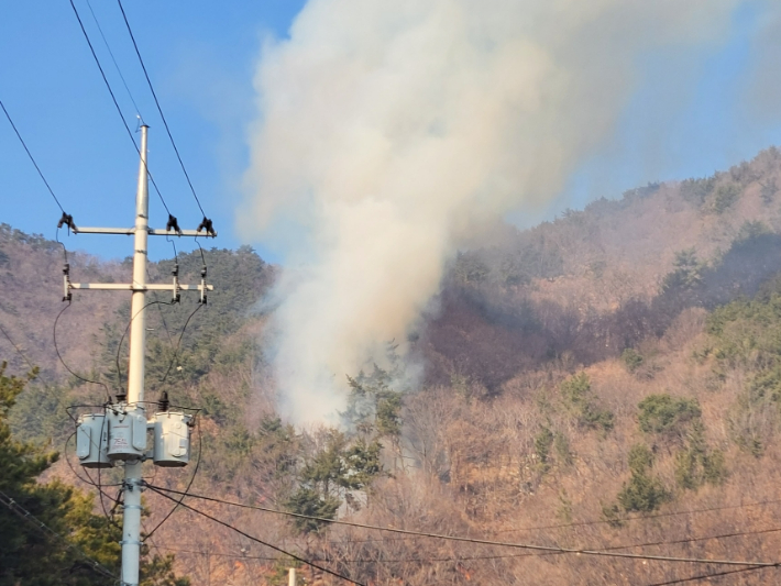 29일 부산 강서구 봉화산 5부 능선 인근에서 불이 나 임야 660㎡ 가량이 소실됐다. 부산소방재난본부 제공