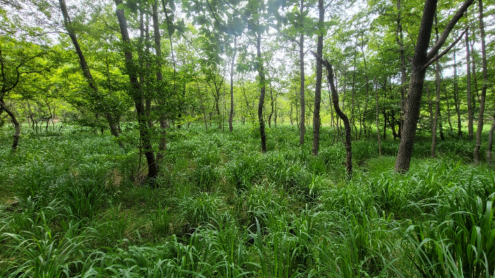 와룡 산지 습지. 순천시 제공