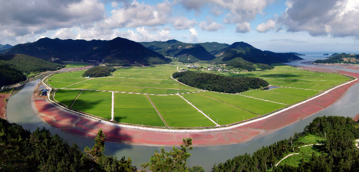 친환경농업단지. 전라남도 제공 