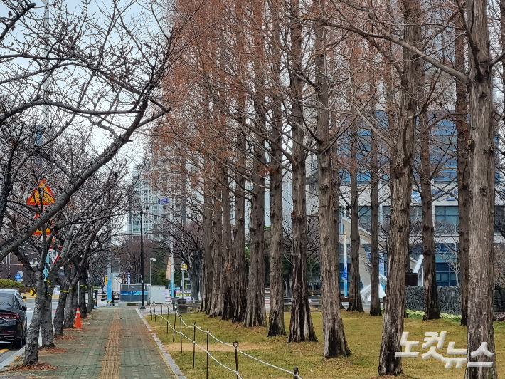 15일 비 그친 부산 강서구 한 인도. 김혜민 기자