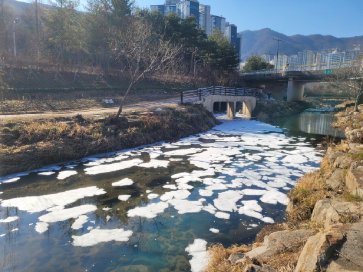 부산 기장군 좌광천 일대에 흰 거품이 뒤덮인 모습. 부산 기장군 제공