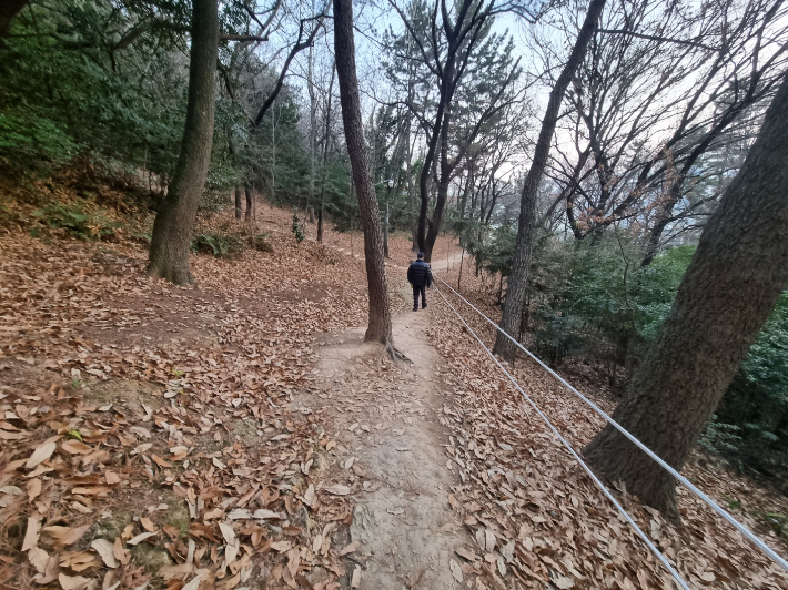 부산 민안초등학교 학생들이 통학할 때 이용하는 등산로로 한 성인 남성이 내려가고 있다. 박진홍 기자