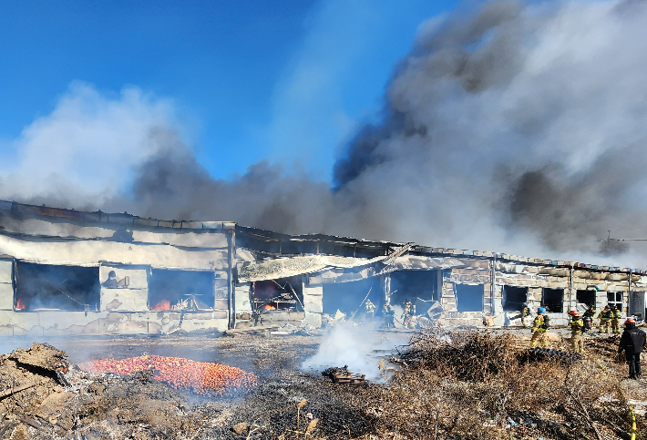 지난달 30일 부산 강서구의 부경원예농협 화훼공판장에서 불이 나 건물 2개 동이 완전히 불에 타고, 공판장 건물도 큰 피해를 입었다. 부산소방재난본부 제공
