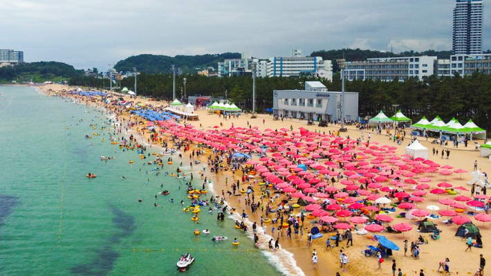 속초해수욕장을 찾은 피서객들. 속초시 제공