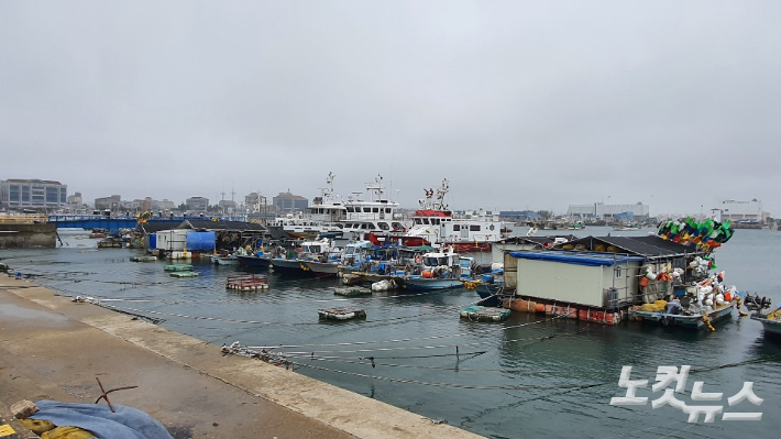 군산 비응항에 정박된 어선. 도상진 기자