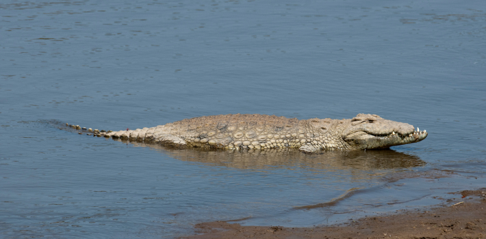스마트이미지 제공