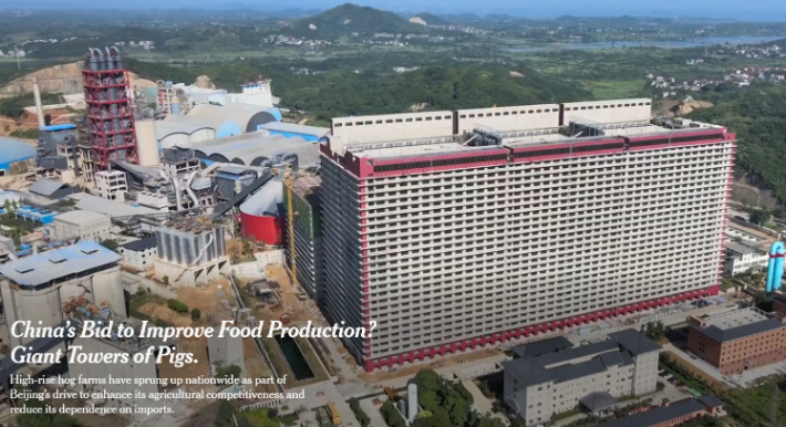 뉴욕타임즈 캡처