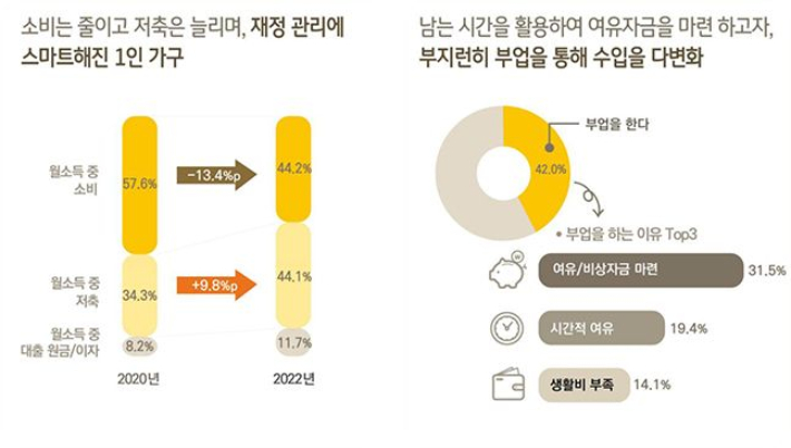 N잡러 이유. KB금융지주 경영연구소 '2022년 1인 가구 보고서' 캡쳐