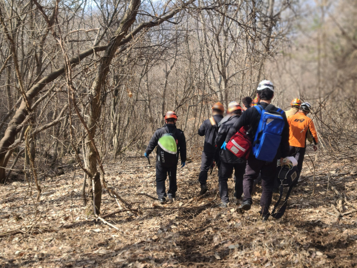 14일 오전 11시 50분쯤 전북 순창군 쌍치면의 야산에서 나무에 깔리는 사고가 발생했다. 전북 소방본부 제공