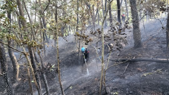 22일 산불을 진화하고 있는 산불재난특수진화대. 산림청 제공