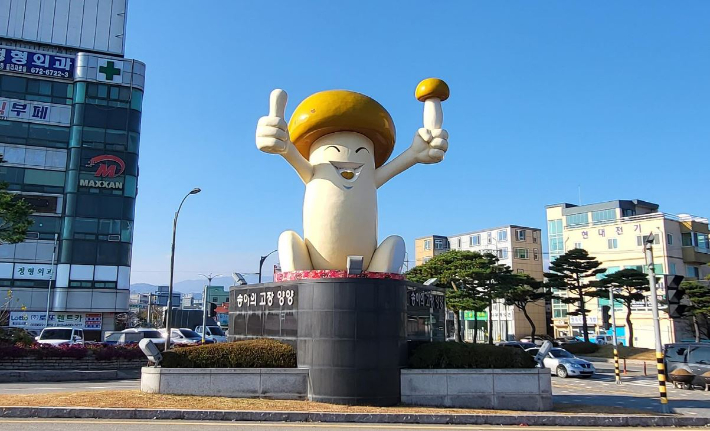 지난 21일 철거된 송이돌이. 양양군 제공