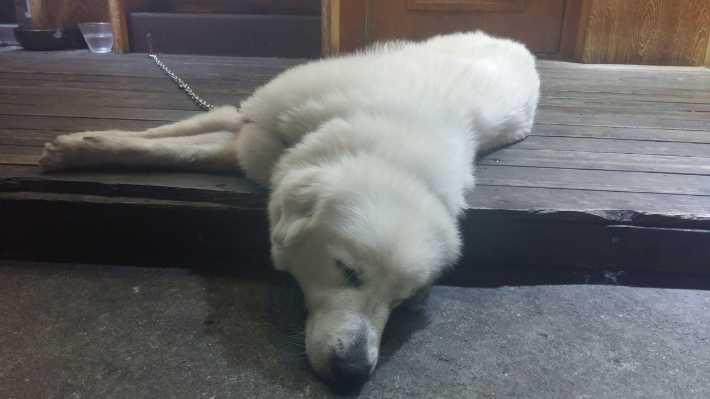 기사 내용과 직접적 관련 없음. 스마트이미지 제공