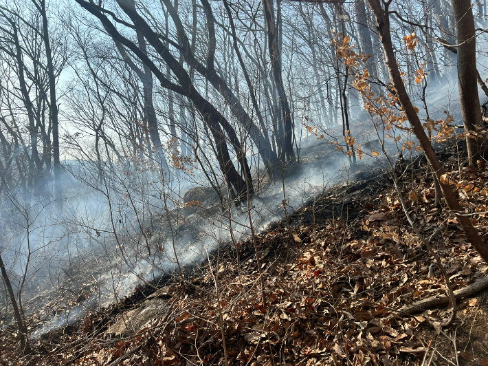 24일 오후 2시 20분쯤 기장군 석은덤산에서 불이 나 임야 3만 제곱미터가 불에 탔다. 부산소방재난본부 제공