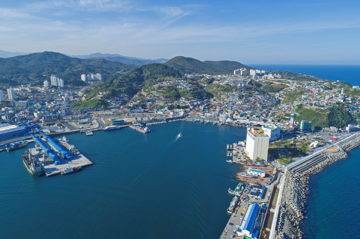 동해 묵호항 전경. 동해시 제공