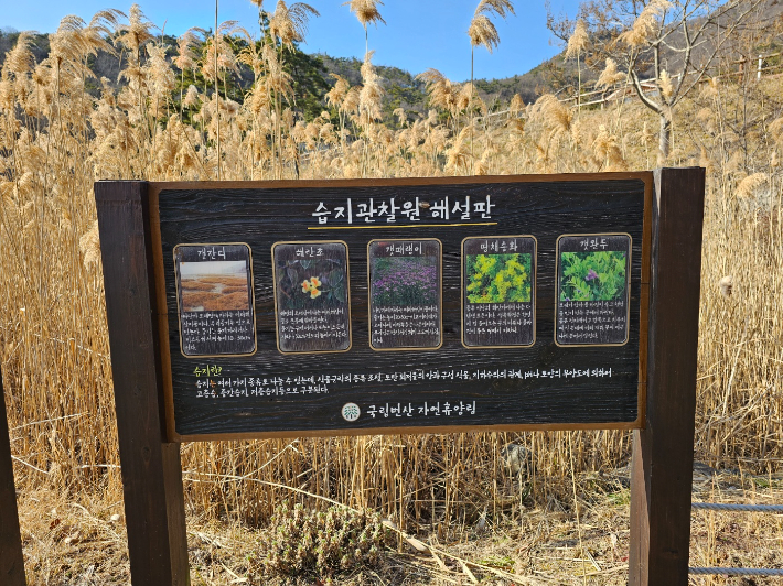변산 자연휴양림. 최이든 해설사 제공 