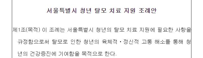 서울특별시 청년 탈모 치료 지원 조례안 캡처