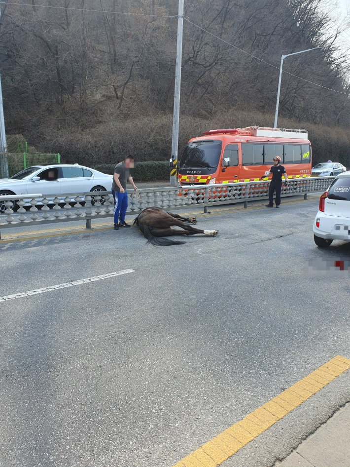 경북소방본부 제공