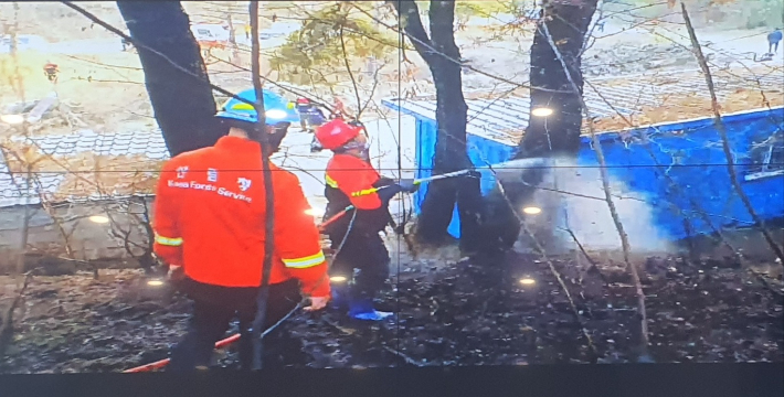 6일 오후 4시29분쯤 강원 고성군 죽왕면 향목리 인근 야산에서 원인을 알 수 없는 불이 났으나 10여분 만에 진화됐다. 강원도 제공
