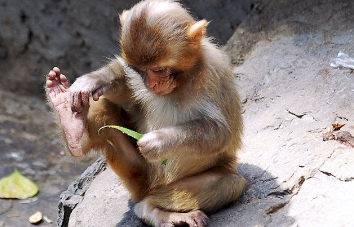 스마트이미지 제공