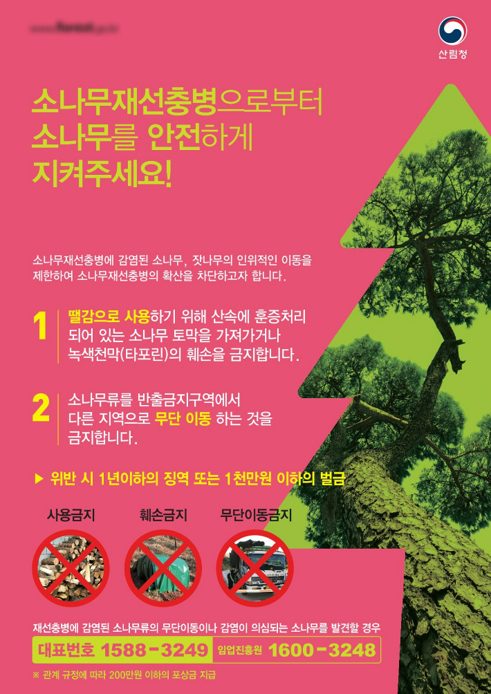 방효린 배우의 진지한 모습