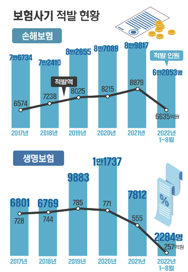 그래픽=김소영 기자