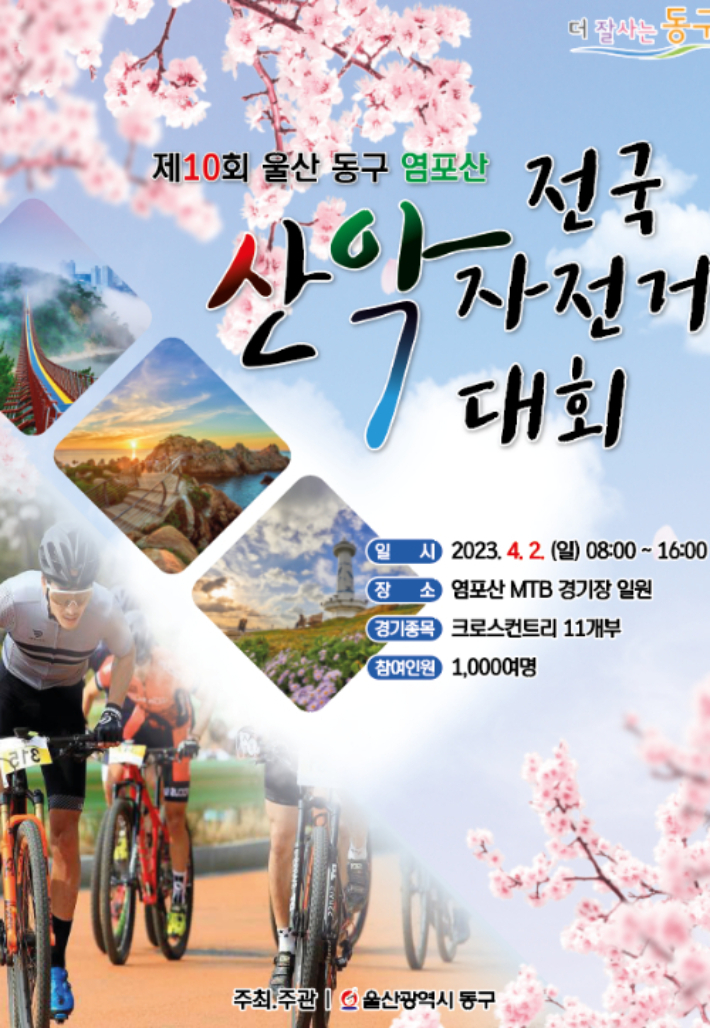 울산광역시 동구청 제공