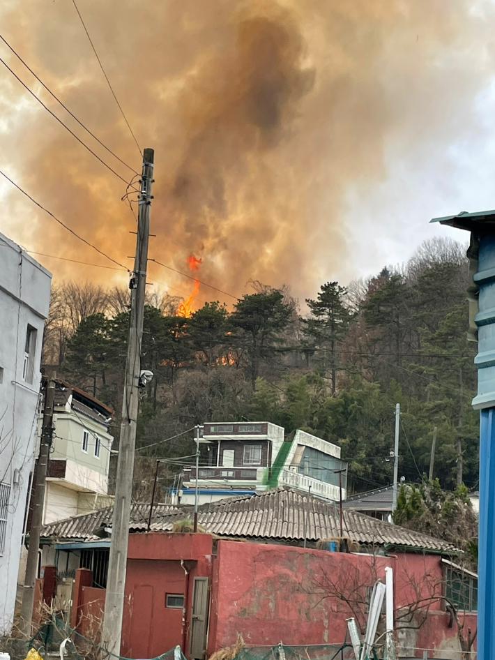 지난 11일 광주 북구 운암산 인근에서 발생한 화재. 광주 북구청 제공