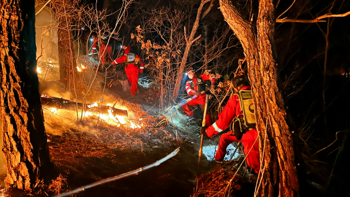 산불 진화 대원들이 야간 진화 방화선을 구축하고 있다. 산림청 제공