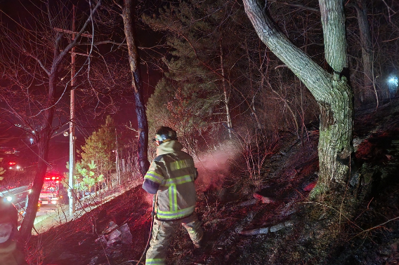 지난 16일 9시 5분쯤 영월군 남면 연당리의 한 야산에서 불이 나 30여분 만에 진화됐다. 강원소방본부 제공