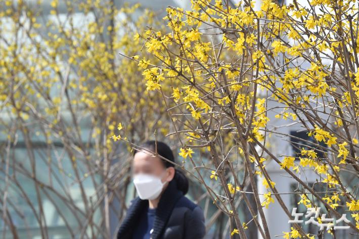 봄 찾아온 서울