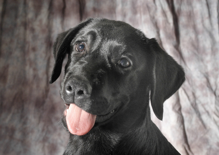 스마트이미지 제공