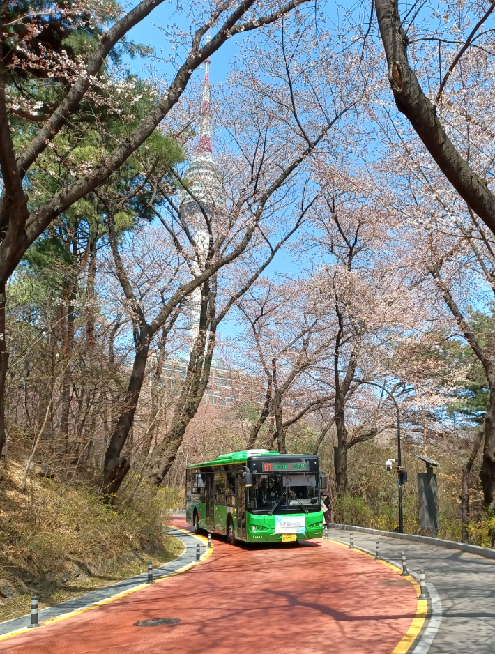 남산공원을 경유하는 기존01번 노선. 여기에 주말에는 추가로 8001번이 신설된다. 서울시 제공