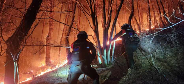야간 산불 진화에 투입되는 산불재난특수진화대. 산림청 제공