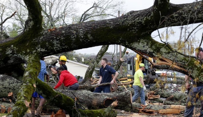 지난달 31일(현지시간) 토네이도가 휩쓸고 간 미국 아칸소주의 나무가 쓰러져 있다. 연합뉴스