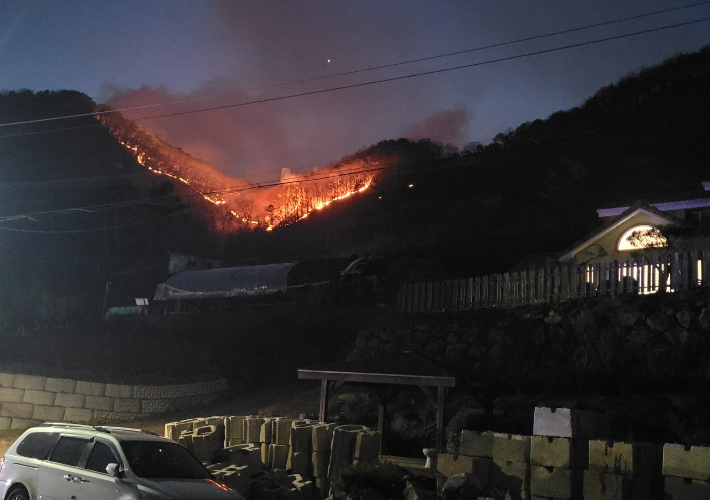 김종운 이장 제공