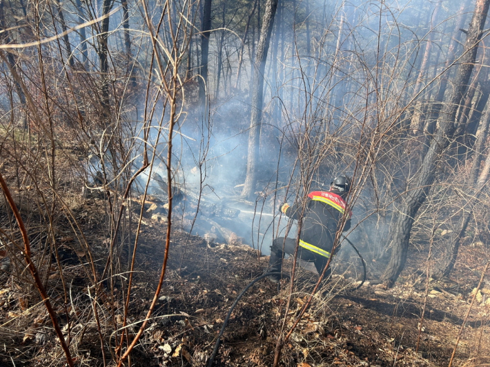 산불진화대원들이 지상산불 진화작업을 벌이고 있다. 산림청 제공