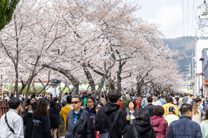 이충무공선양회 제공