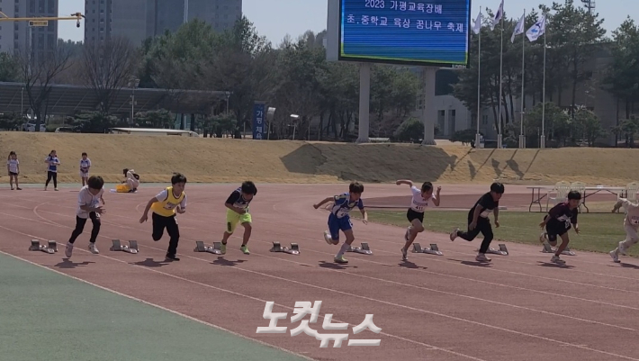 지난 3일 열린 '2023 가평교육장배 초·중학교 육상 대회' 80m 4학년 결승 경기에 출전한 학생들이 질주하고 있다. 동규 기자