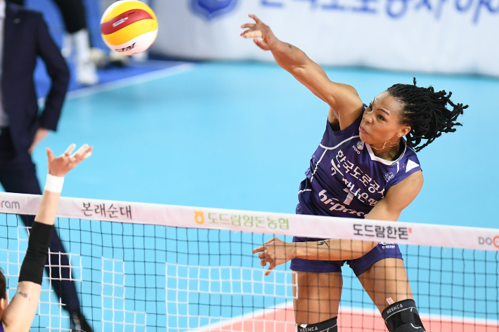 한국도로공사 캣벨. 한국배구연맹